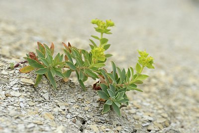 BUITEN BEELD Foto: 180466