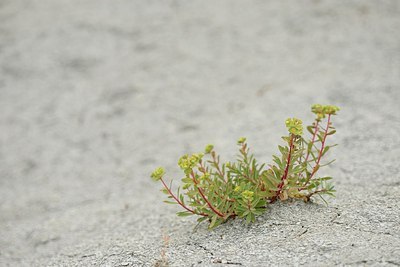 BUITEN BEELD Foto: 180467