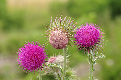 BUITEN BEELD Foto: 180471