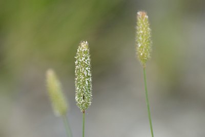 BUITEN BEELD Foto: 180475