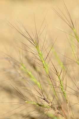 BUITEN BEELD Foto: 180476