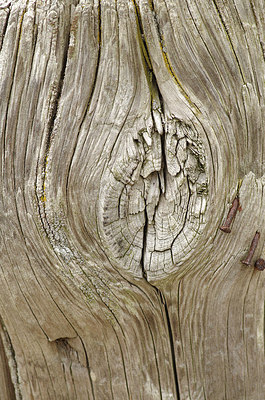 BUITEN BEELD Foto: 180477