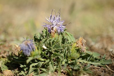 BUITEN BEELD Foto: 180480
