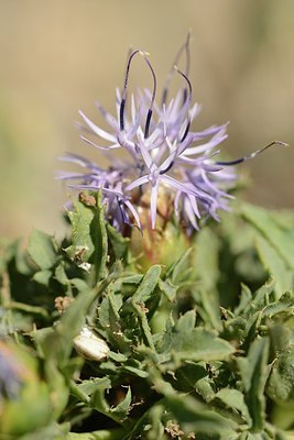 BUITEN BEELD Foto: 180485