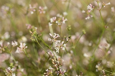 BUITEN BEELD Foto: 180486