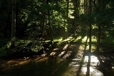 BUITEN BEELD Foto: 180491