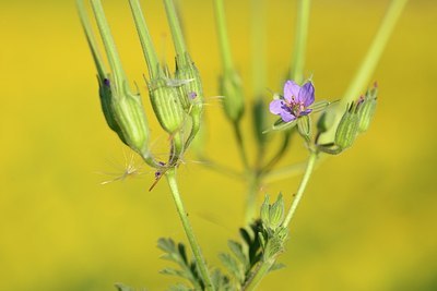 BUITEN BEELD Foto: 180504