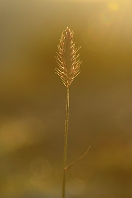 BUITEN BEELD Foto: 180505