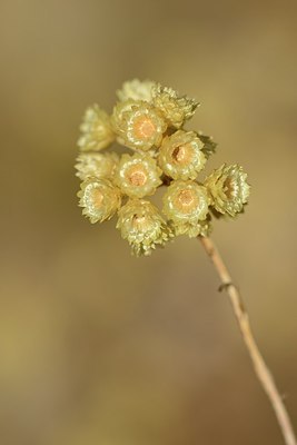 BUITEN BEELD Foto: 180517