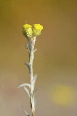 BUITEN BEELD Foto: 180522