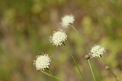 BUITEN BEELD Foto: 180523