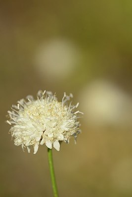 BUITEN BEELD Foto: 180525