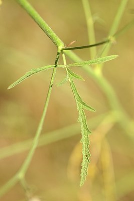 BUITEN BEELD Foto: 180531