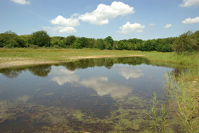 BUITEN BEELD Foto: 180554