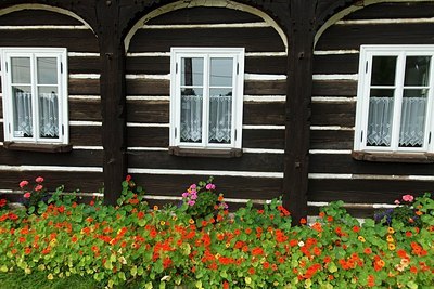 BUITEN BEELD Foto: 180622