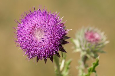 BUITEN BEELD Foto: 180624