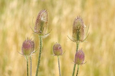 BUITEN BEELD Foto: 180669