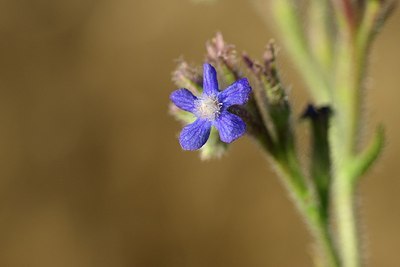 BUITEN BEELD Foto: 180670