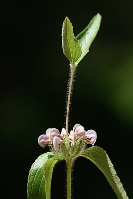 BUITEN BEELD Foto: 180672