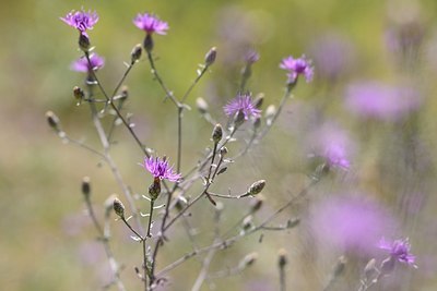 BUITEN BEELD Foto: 180675