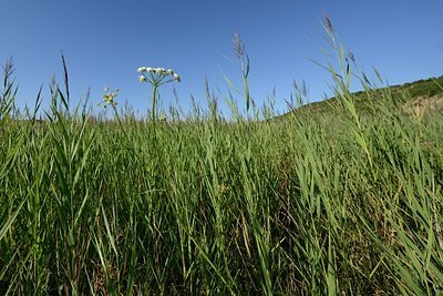 BUITEN BEELD Foto: 180689