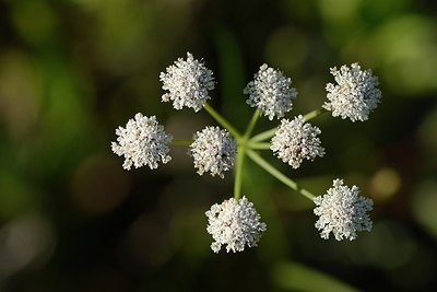 BUITEN BEELD Foto: 180691