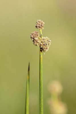 BUITEN BEELD Foto: 180694