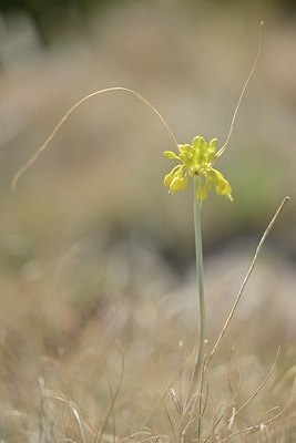 BUITEN BEELD Foto: 180698