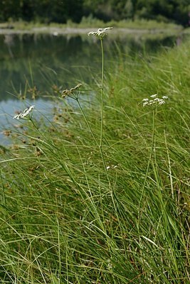 BUITEN BEELD Foto: 180712