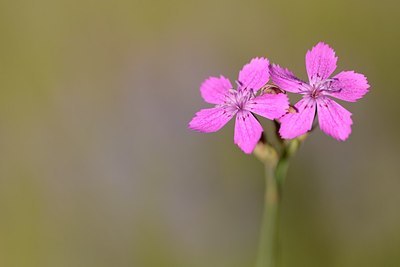 BUITEN BEELD Foto: 180729