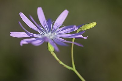 BUITEN BEELD Foto: 180735