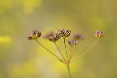 BUITEN BEELD Foto: 180738