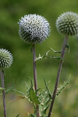 BUITEN BEELD Foto: 180751