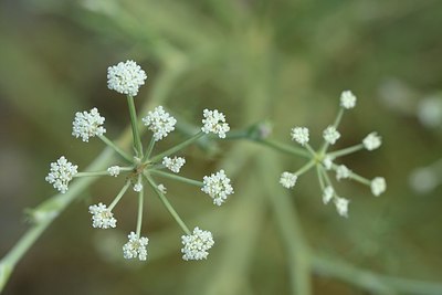 BUITEN BEELD Foto: 180769