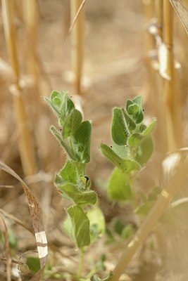 BUITEN BEELD Foto: 180794