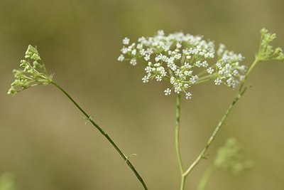 BUITEN BEELD Foto: 180803