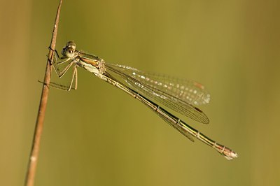 BUITEN BEELD Foto: 180812