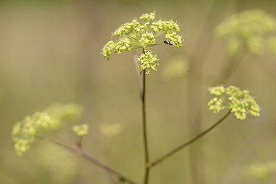 BUITEN BEELD Foto: 180813