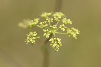 BUITEN BEELD Foto: 180824