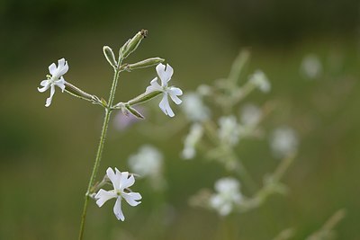 BUITEN BEELD Foto: 180825