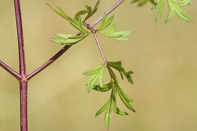 BUITEN BEELD Foto: 180828