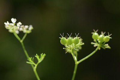 BUITEN BEELD Foto: 180830