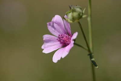 BUITEN BEELD Foto: 180834