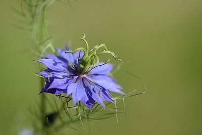 BUITEN BEELD Foto: 180835