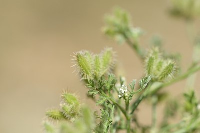 BUITEN BEELD Foto: 180837