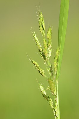 BUITEN BEELD Foto: 180843