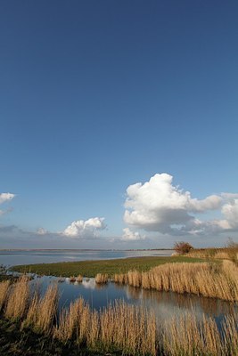 BUITEN BEELD Foto: 180847