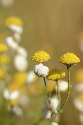 BUITEN BEELD Foto: 180851