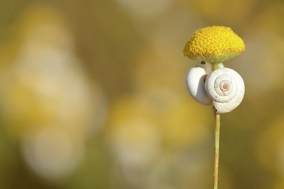 BUITEN BEELD Foto: 180853