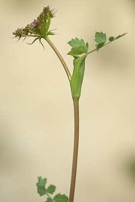 BUITEN BEELD Foto: 180862